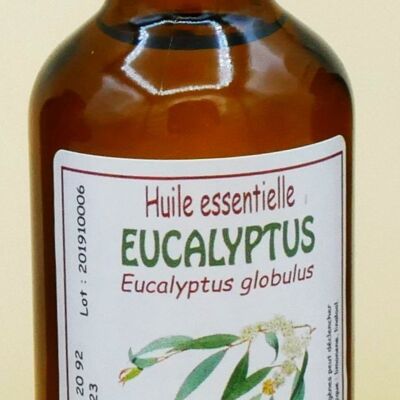 Ätherisches Eukalyptusöl 50 ml