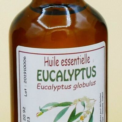 Eucalyptus 50ml Huile essentielle