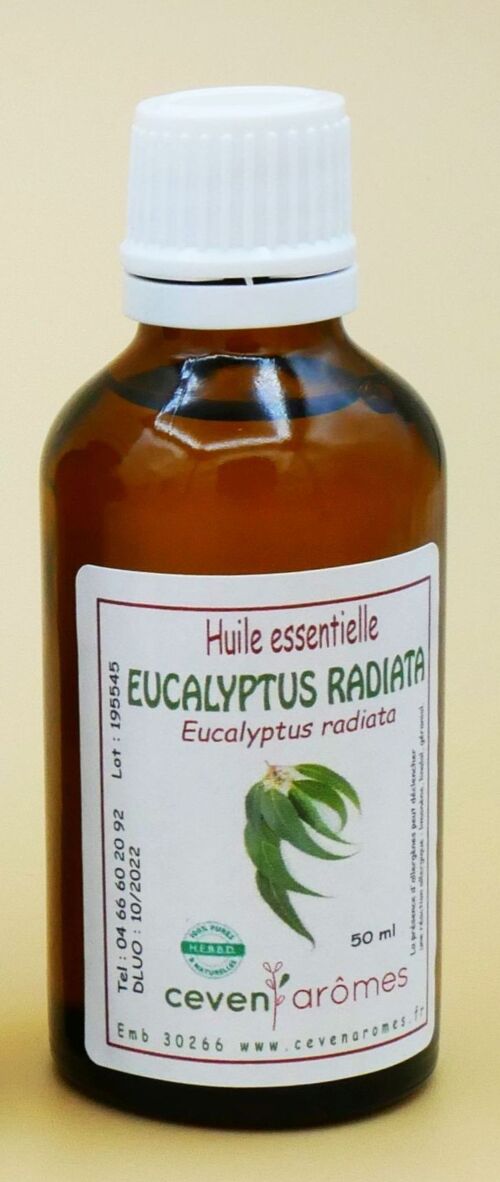 Eucalyptus radiata 50ml Huile essentielle