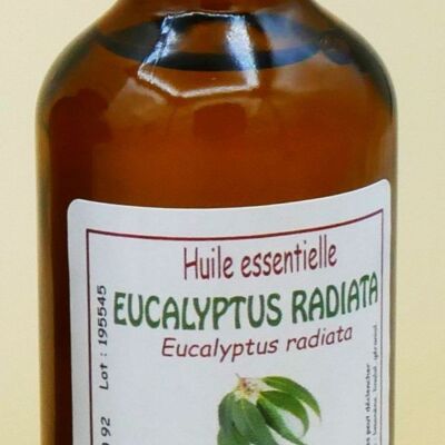 Olio essenziale di eucalipto radiata 50 ml