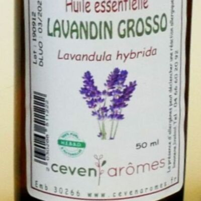 Lavandín Grosso 50ml Aceite Esencial
