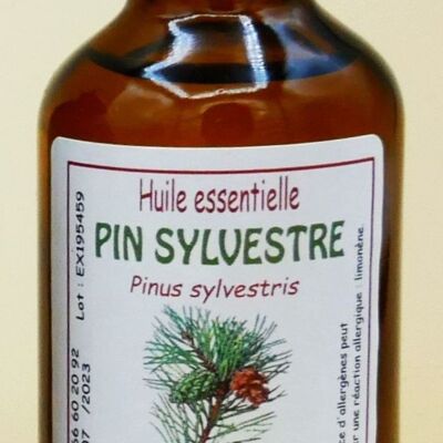 Pine 50ml Essential Oil