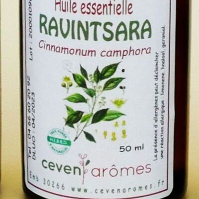 Ravintsara 50 ml di olio essenziale