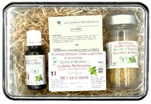 Coffret pot-éponge - Eucalyptus-Menthe poivrée diffuseur d'huile essentielle