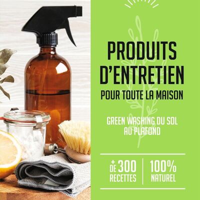 LIVRE - Produits d'entretien pour toute la maison (GW2)