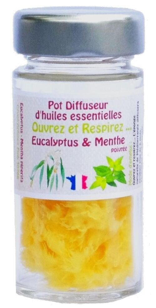 Eucalyptus-Menthe poivrée Pot éponge diffuseur d'huile essentielle