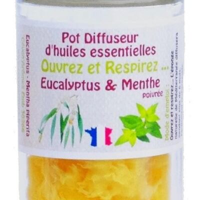 Eucalyptus-Menthe poivrée Pot éponge diffuseur d'huile essentielle