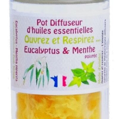 Tarro de esponja difusor de aceite esencial de eucalipto y menta