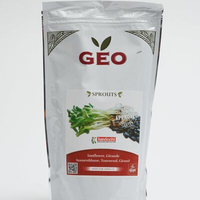 Semillas de girasol ecológicas 5kg