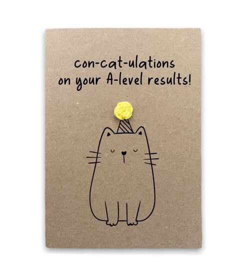 Funny New A-Level Exam Cat Pun Card - Congratulations on A-Level Results - GCSE Card - Handmade Exam Pass - Cat Lover - Send To Recipient (SKU: BD142B)