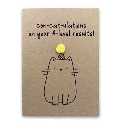Divertida nueva tarjeta A-Level Exam Cat Pun - Felicitaciones por los resultados A-Level - Tarjeta GCSE - Pase de examen hecho a mano - Amante de los gatos - Enviar al destinatario (SKU: BD142B)