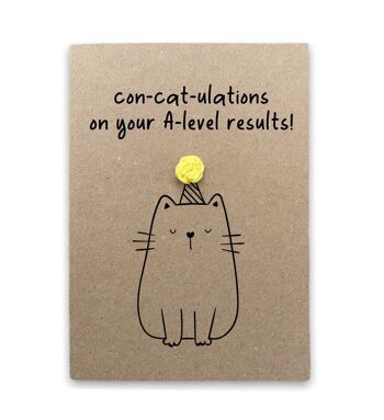 Funny New A-Level Exam Cat Pun Card - Félicitations pour les résultats A-Level - Carte GCSE - Passe d'examen fait à la main - Amoureux des chats - Envoyer au destinataire (SKU : BD142B)