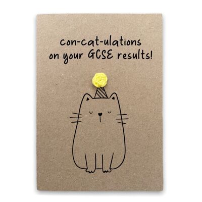 Funny New GSCE Exam Cat Pun Card - Félicitations pour les résultats de niveau A - Carte GCSE - Passe d'examen fait à la main - Amoureux des chats - Envoyer au destinataire (SKU : BD143B)