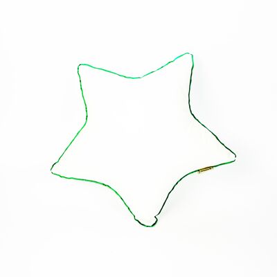 GREEN Star Cushion