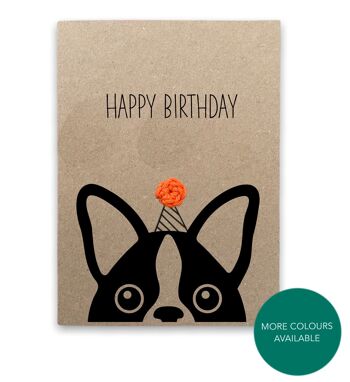 Funny Terrier Dog carte d'anniversaire Pun Card - joyeux anniversaire chien de compagnie - Humour jeu de mots carte - Carte pour elle - Envoyer au destinataire - Message à l'intérieur (SKU : BD174B)