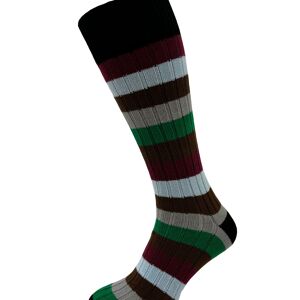 Horizon Leisure Lifestyle Weekender Chaussettes - Multi Stripe