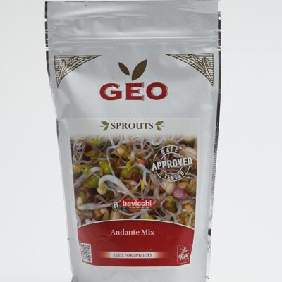Organic Andante seed mix 400g