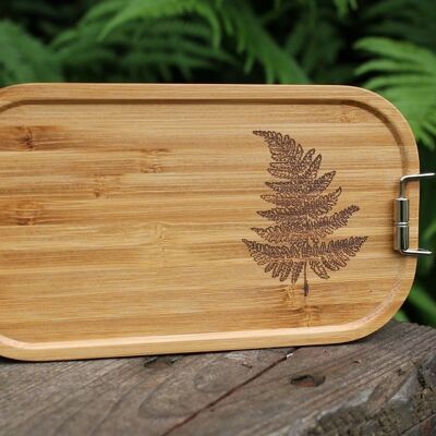 Lunch box plant fern small