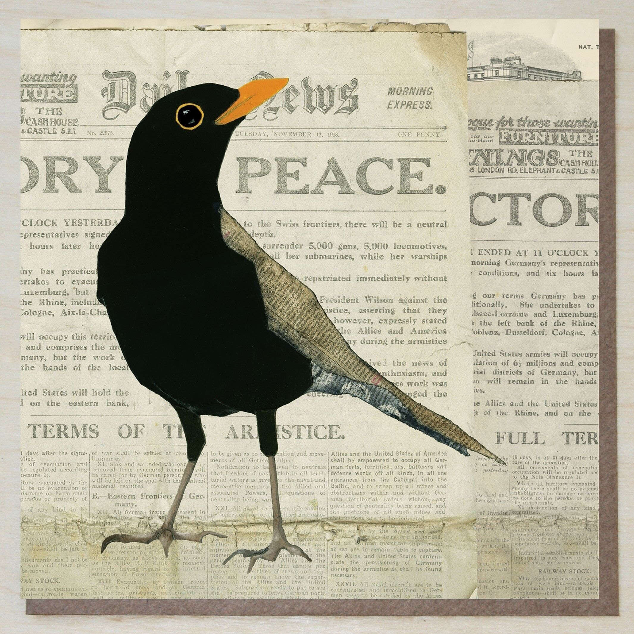 Amsel auf Historischer Zeitung (Vogelkarten)