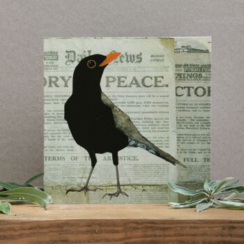 Blackbird on Historic Newspaper (cartes d'oiseaux) 2