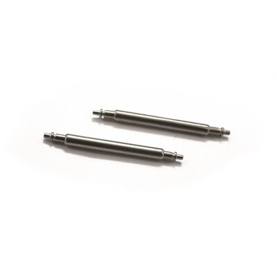 Spring Bars 15 mm (2 pcs)