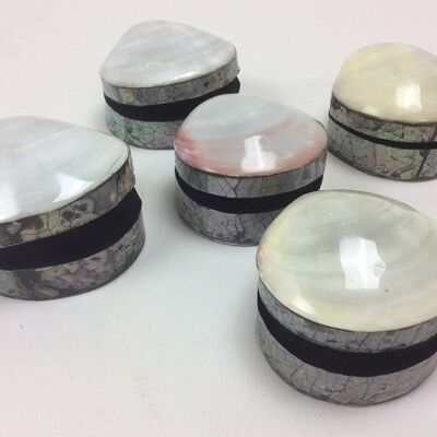Shell box mother of pearl cream 7 cm (PU 6)