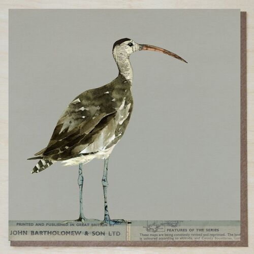 Curlew Card (bird cards)