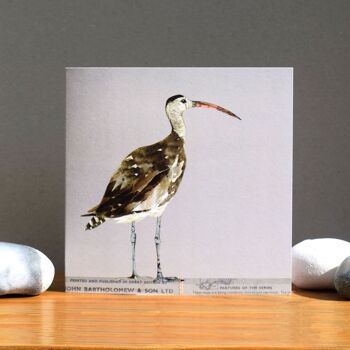 Curlew Card (cartes d'oiseaux) 2