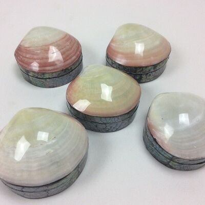 Shell box mother-of-pearl pink / cream 10 cm (PU 6)