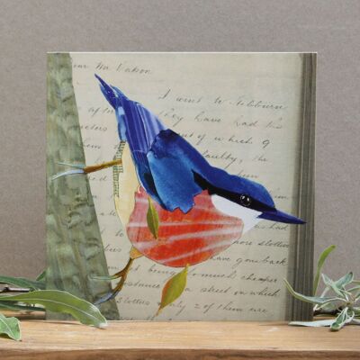 Picchio muratore su lettera vintage (carte di uccelli)