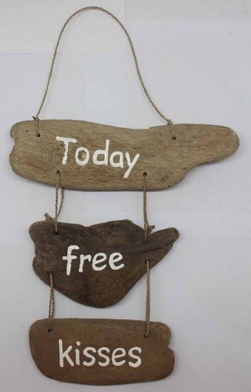 Driftwoodhanger Today free….. (drijfhout) (VE 6)