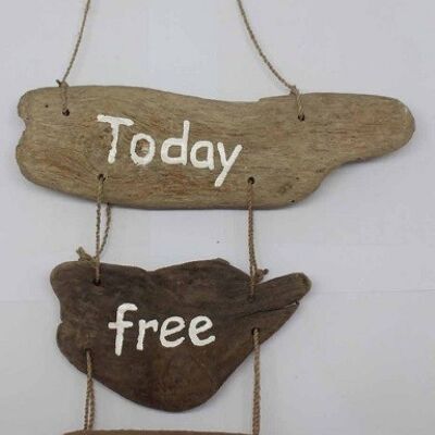 Driftwoodhanger Today free….. (drijfhout) (VE 6)