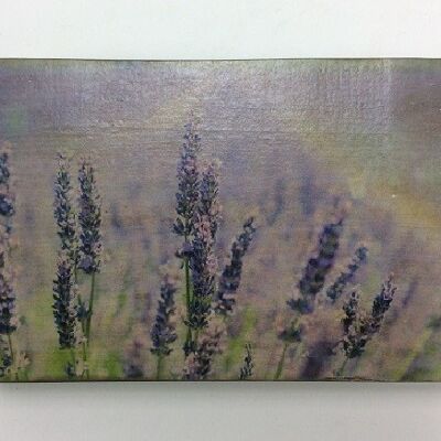 Afbeeldingsblok 10x15 cm Bloemen lavendel (VE 2)