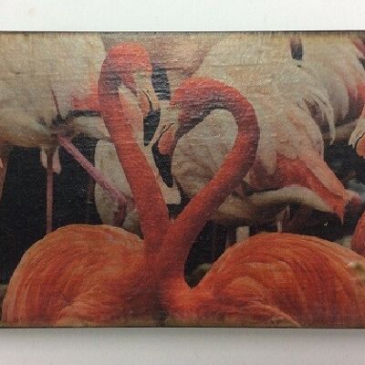 Afbeeldingsblok 10x15 cm Wildlife flamingo (VE 2)