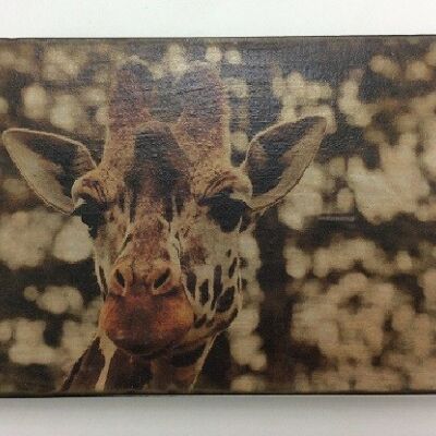 Afbeeldingsblok 10x15 cm Wildlife giraf (VE 2)