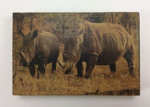 Afbeeldingsblok 10x15 cm Wildlife neushoorn (VE 2)