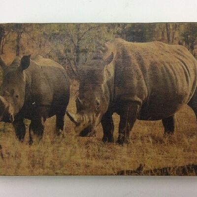 Bloque de cuadros 10x15 cm Fauna rinoceronte (VE 2)