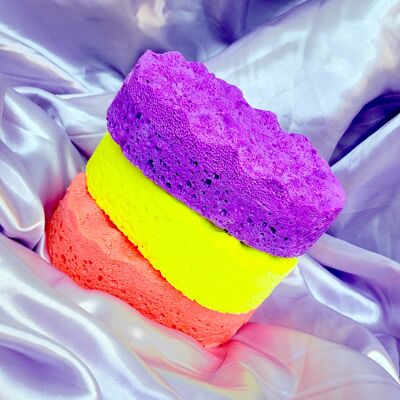Soap Infused Sponges (x5)