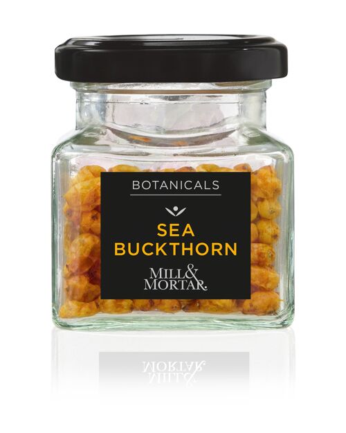 Sea Buckthorn