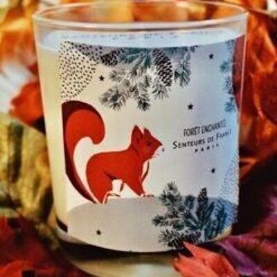 Scented candle graphic collection amber squirrel without box