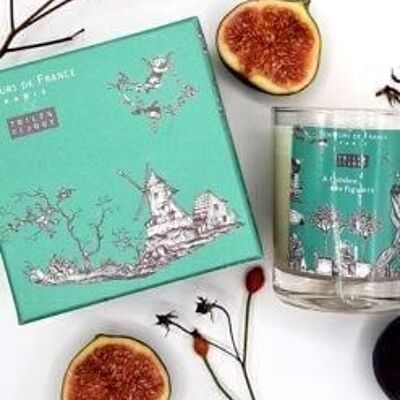 Fig Toiles de Jouy scented candle