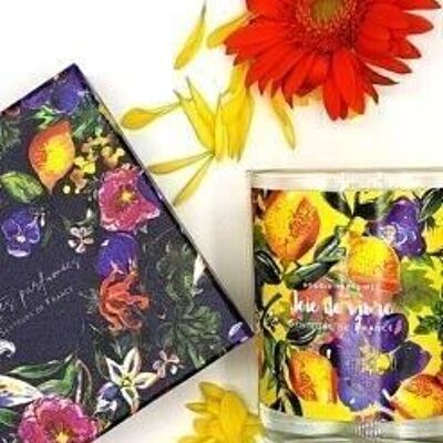 Orange blossom scented candle “Joie de Vivre”