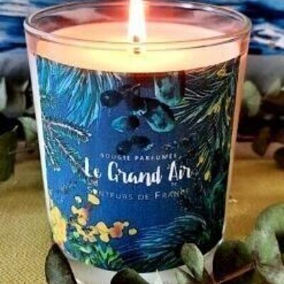 Iodine scented candle (sea) Le Grand Air