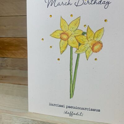 Narciso / Tarjeta de flor de nacimiento de marzo