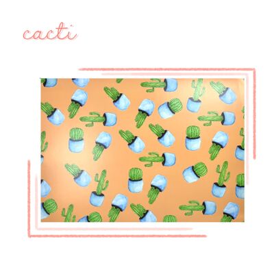 Confezione di carta da regalo e etichetta regalo per cactus