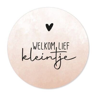 Sticker welkom lief kleintje op rol 250st.