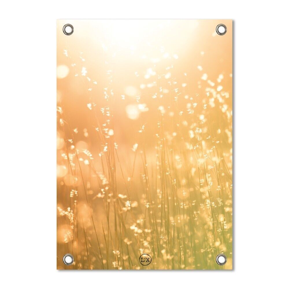 Poster da giardino sole splendente Garden