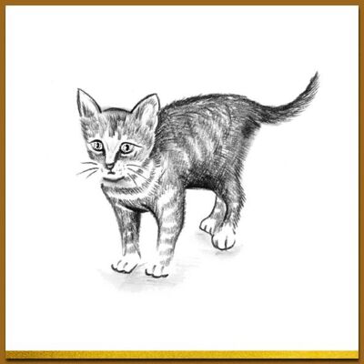 Postcard Black & white and gold - Kitten