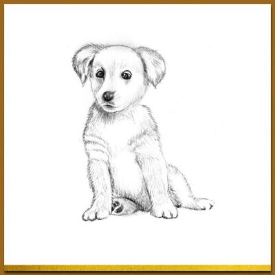 Postcard Black & white and gold - Puppy