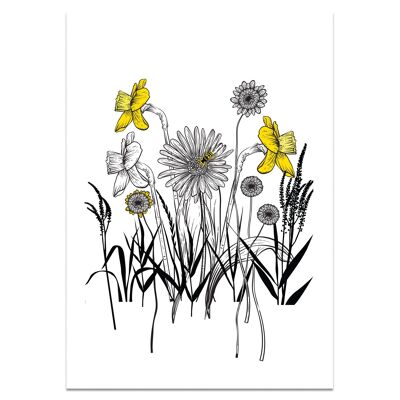 Poster Nature Shadows A3 - Daffodils